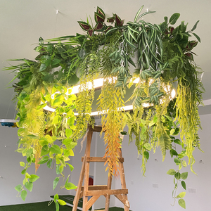 Lustre suspendu au plafond ovale à LED réglable en <span class=keywords><strong>hauteur</strong></span> pour hôpital, décoration <span class=keywords><strong>de</strong></span> plantes artificielles, éclairage moderne unique et créatif - Product Image 6