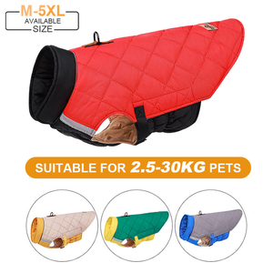 Abrigo de Invierno para Perro de Lujo, Personalizado OEM/ODM, al por Mayor, Ecológico, Impermeable, de Poliéster, en Tallas Pequeñas y Grandes, Ropa de Diseño para Perros - Product Image 4