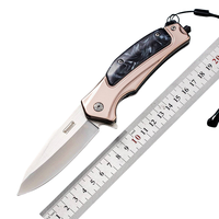 Couteau de poche pliable DA155 à lame en acier inoxydable, avec manche en acier inoxydable et résine, idéal pour le camping en plein air