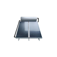 Chauffe-eau solaire à double collecteur 300L à plaque plate, antigel, revêtement noir, système pressurisé au glycol pour grande famille, extérieur