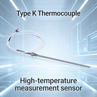 Sonde de température RTD en acier inoxydable, étanche IP67, anti-explosion, résistante à la corrosion, haute précision, OEM ODM