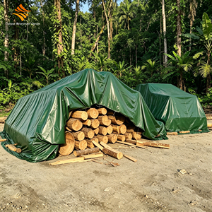 Bâche en toile imperméable Tianyue 600 g/m², verte, robuste, pour usage extérieur et industriel, abri de tente en tissu imperméable - Product Image 1