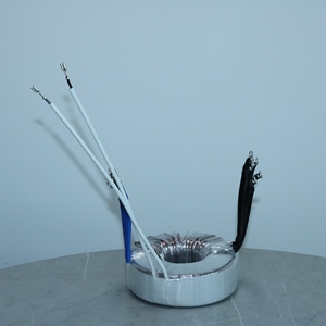 Yüksek kaliteli Toroidal çekirdek 50W-5000W giriş sanayi Tester için 110V 120V Toroidal trafo - Product Image 5