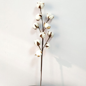 Wholesale Dried Flower Branches Handmade 10 Heads <strong>Cotton</strong> <strong>Stems</strong> for DIY Event Party Decorations - Product Image 4