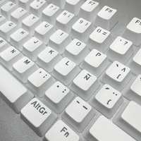 Personalized Translucent Spanish Keycaps ABS Material OEM Profile Doubleshot Process Mechanical Keyboard Keycaps