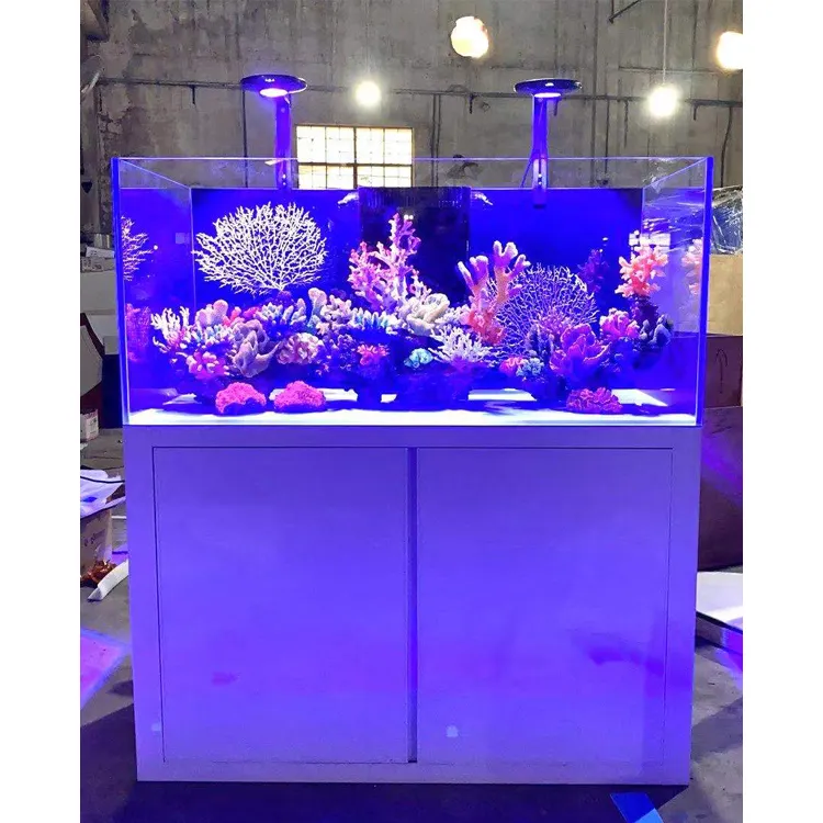 good quality aluminium cabinet low iron glass modern big turtle saltwater aquarium fish tank