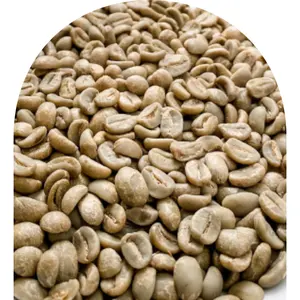 グリーンアラビカコーヒー豆売れ筋洗浄プロセスベトナムサプライヤーS16 98% 成熟チェリー