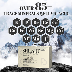 Solilan OEM Private Label 60 Tabletten 100% Zuiver Hoogwaardig Shilajit Extract Tabletten Himalaya Rijk aan Fulvinezuur & Spoorelementen - Product Image 3