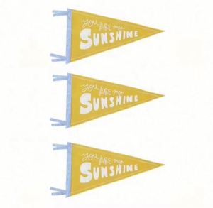 Banderoles triangulaires en feutre pour universités, impression numérique personnalisable professionnelle, portables, imperméables et écologiques - Product Image 6