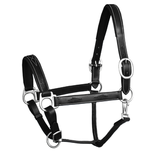 Elegante Halter Ajustable de Diseño con Cuerda de Nylon Trenzada y Acolchado Suave para Carreras de Resistencia, con Hebillas Cómodas de Aleación de Zinc - Product Image 1