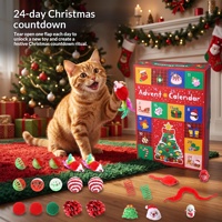 PAIPET voor populaire interactieve plastic katten-kerst adventskalender blind box set met 24 vakjes, cadeaudoos voor huisdieren