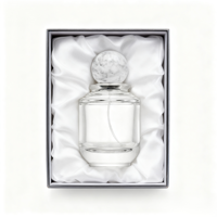 Flacon de parfum noir moderne de luxe 100 ml avec boîte et capuchon pulvérisateur pour parfum féminin avec couvercle de boîte