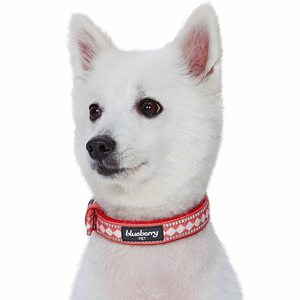 Collar Personalizado para Perro, Correa para Mascotas, Suave y Cómodo, Estilo a Cuadros Rojos, Diseño Acolchado, Collar Ajustable para Perro - Product Image 6