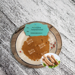 Realin Apple Peel <b>Extract</b> Powder Food Grade Polyphenols Rich for Skin & Diet - Product Image 3