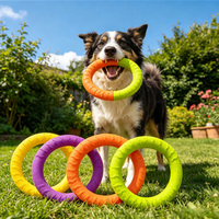 Anneau à mâcher en mousse EVA pour animaux de compagnie, jouet sûr et non toxique pour chiot et chien adulte, jeu interactif intérieur/extérieur