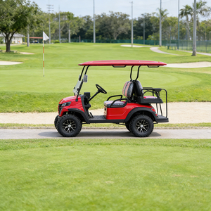 Voiturette de golf compacte WOLAN Source Plant Support personnalisable au lithium 4 places pour accès en villas et jardins à allées étroites - Product Image 4