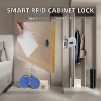Serrure de meuble numérique RFID à batterie, invisible, avec capteur de carte IC, pour casier intelligent, armoire, portes en bois, en ABS, contrôlable par application