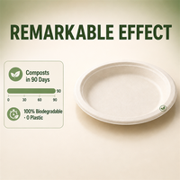 Assiette ronde en bagasse de canne à sucre de 6 pouces, entièrement compostable, résistante à l'huile, compatible micro-ondes, en pulpe moulée, pour la restauration et les plats à emporter