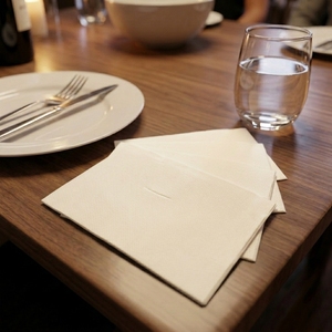 <span class=keywords><strong>Tovaglioli</strong></span> da Cena in Bambù Personalizzati, Assorbenti, 40x40cm, 2 Veli, 8 Pieghe, Effetto Lino, con Sacchetto per Ristoranti, Matrimoni, Catering - Product Image 5