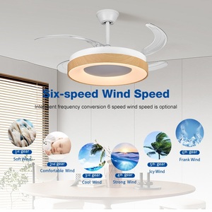 Mới Đến Nội Thất Phòng Khách 42 Inch ABS 4 Lưỡi Có Thể Thu Vào Vô Hình Điều Khiển Từ Xa Mờ <span class=keywords><strong>LED</strong></span> Quạt Trần Ánh Sáng - Product Image 2