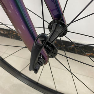 <span class=keywords><strong>Bicicleta</strong></span> <span class=keywords><strong>de</strong></span> Carretera <span class=keywords><strong>de</strong></span> <span class=keywords><strong>Fibra</strong></span> <span class=keywords><strong>de</strong></span> <span class=keywords><strong>Carbono</strong></span> Personalizada OEM <span class=keywords><strong>de</strong></span> Alta Calidad para Adultos, <span class=keywords><strong>Usada</strong></span>, a Precio Económico, 700c, en Oferta - Product Image 6