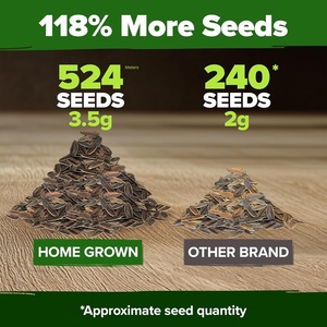 2026 Nhà Trồng Osa Cao Cấp Zinnia <span class=keywords><strong>Dahlia</strong></span> Gói Không Biến Đổi Gen 524 Ngoài Trời Nở Cho Vibrant Elegans Chậu Hoa Trồng - Product Image 3