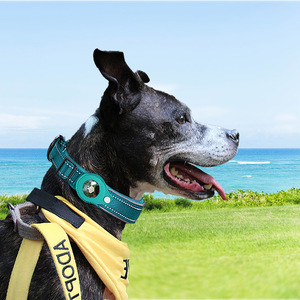 <span class=keywords><strong>Collier</strong></span> de <span class=keywords><strong>chien</strong></span> rembourré réfléchissant <span class=keywords><strong>pour</strong></span> <span class=keywords><strong>collier</strong></span> de suivi Airtag et <span class=keywords><strong>GPS</strong></span> - Product Image 6