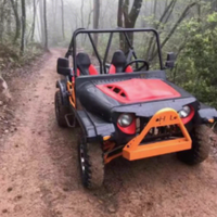 Vente Flash : Mini Jeep Électrique/à Essence Caiteng 250cc 300cc 350cc 500cc 200cc 4x4 Transmission Automatique 2 Places Garantie 2 Ans