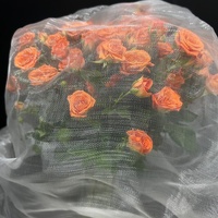 Goedkope prijs landbouwkas anti-insectengaas met snijservice plastic netting