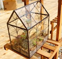 Maison jardin bureau décoration Air Planter Pot en verre Succulent maison en forme or noir verre géométrique plante Terrarium