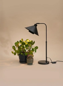 Lámpara de paisaje en miniatura de metal de espectro completo, de alta luminosidad y bajo consumo, moderna, ecológica, adecuada para macetas de interior. - Product Image 5