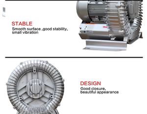 ไฟฟ้าแรงดันสูงปั๊มสำหรับ<span class=keywords><strong>สระ</strong></span>ว่าย<span class=keywords><strong>น้ำ</strong></span> Air Blower ปั๊มเป่า<span class=keywords><strong>ลม</strong></span>อุปกรณ์ - Product Image 4