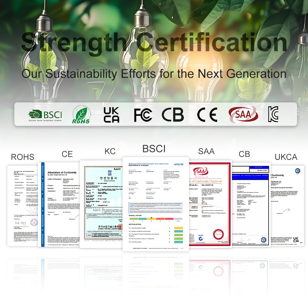 wall light 220v over picture