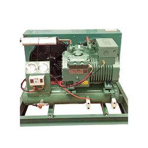 Compresseur frigorifique Bitzer 2DES-2 de type piston pour entrepôts frigorifiques de légumes, fruits et fleurs - Product Image 5