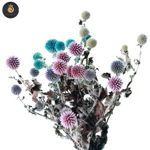M039 decoración rústica de boda <span class=keywords><strong>echinops</strong></span> secas naturales cardo globo conservado minimalista flor de cardo azul para ramos de jarrón - Product Image 4