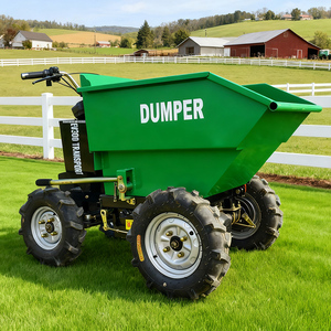 CE Aprovado Carga 500 kg Carregando Roda Elétrica <span class=keywords><strong>Barrow</strong></span> Dumper Elétrico para Venda - Product Image 1