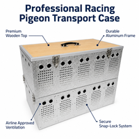 Cage de transport aérien pliable et portable pour pigeons de course, pour l'entraînement et la libération - Chine