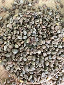 60kg A Robusta Tamaño 16 Origen de Vietnam Granos de café verde A Plus 95 a 99% Pureza Bolsas a granel de alta calidad - Product Image 4