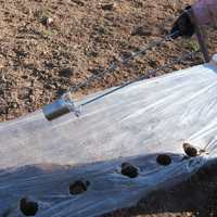 Outil de plantation agricole professionnel DIY avec plusieurs tailles pour le creusement de trous, le repiquage et l'extraction du sol