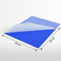25x20 cm Dubbelzijdige Geel/Blauwe Thrips/Bladluizen/Witvlieg Stickers met Waslaag Waterdichte Fruitvliegval met Lijm