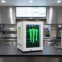 Réfrigérateur portable promotionnel personnalisé pour mini-restaurant, vitrine réfrigérée avec éclairage LED du logo et porte en verre, 21L