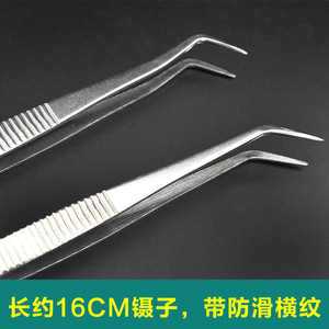 Dental Tweezers Double Curved And Single Curved Stainless Steel 16cm Knurled Grip For Dental Filling And Positioning Industry - Product Image 5