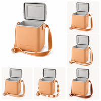Glacière isotherme 10L de haute qualité en plastique rigide pour le stockage alimentaire, idéale pour les voyages en voiture, la plage, ou comme cadeau promotionnel