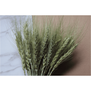 Roses séchées naturelles Blé Usage domestique Mariage Saint Valentin Arrangements de fête des pères Décorations de chambre Bouquet de fleurs fait main - Product Image 2