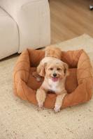 Lit orthopédique pour chien en velours côtelé, lit pour animaux de compagnie avec rebord, canapé-lit lavable pour chiens et chats de petite et moyenne taille