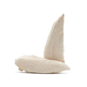 Directo de fábrica, gran oferta, filete de pollo orgánico liofilizado, pechuga de gato, materias primas naturales, sin aditivos, seguro para alimentos - Product Image 3