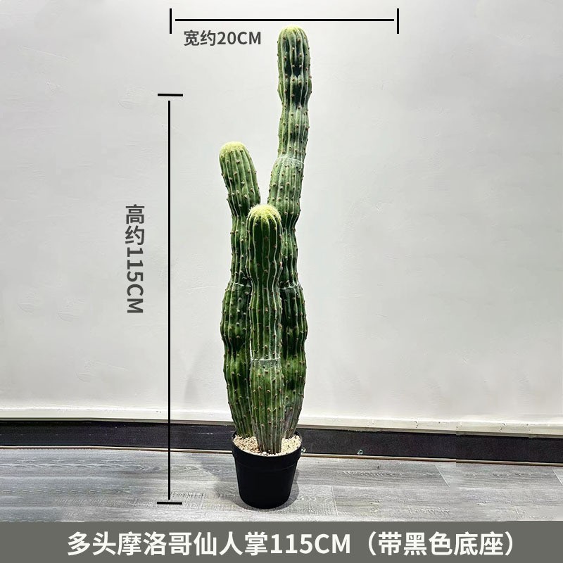 Cactus marocain à plusieurs têtes, 115 cm (livré avec socle noir)