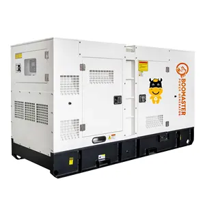 Diesel Generator 20kw 25kw Power Portable Generator 20kva 25kva Generators Set Genset Generador for Home Silent