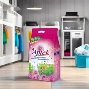 Fabricante de fábrica OEM 800g detergente para ropa en polvo jabón al por mayor flor Perfume detergente en polvo para el Sudeste Asiático