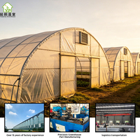 Serre multi-travées monocouche en PE avec structure en acier galvanisé, personnalisable, grande taille, super résistante, pour usage agricole et culture de légumes